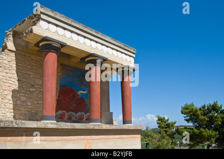 Knossos, Kreta, Griechenland. Minoische Ausgrabungsstätte. Stuck Relief von aufladen Bull (Reproduktion, Original im Museum von Heraklion) Stockfoto