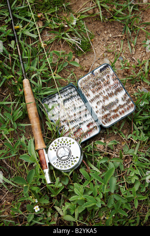 Eine Fliegenrute mit Rolle und Tackle Box sitzen auf einem grasbewachsenen Ufer. Stockfoto