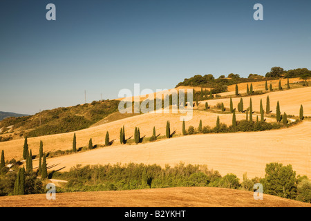 La Foce, Val d ' Orcia, Toskana, Italien Stockfoto