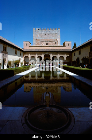 Granada Spanien Alhambra der Rechnungshof die Myrten Stockfoto