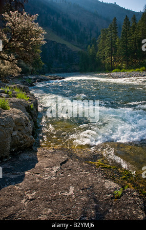 Middle Fork des Salmon River in Idaho. Ein schöner Küstenabschnitt der berühmten Frank Kirche Wildnis. Stockfoto