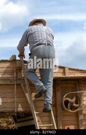 Französischer Landwirt Klettern auf alte Dreschmaschine auf landwirtschaftliche Messe, Indre, Frankreich. Stockfoto