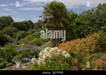 Ventnor Botanic Gardens, Isle Of Wight, Großbritannien Stockfoto