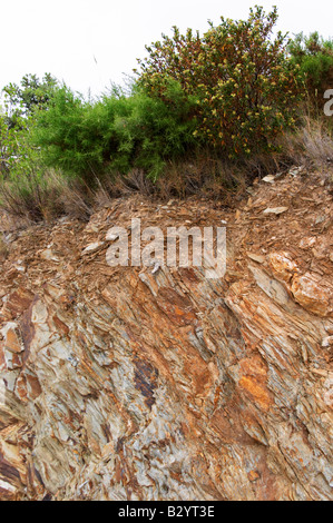 Flockige flakey Rock Boden Schiefer Schiefer. Domaine Boucabeille, Corneilla la Riviere, Roussillon, Frankreich Stockfoto