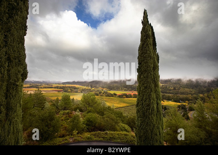 Napa Valley im Herbst, Nord Kalifornien, Kalifornien, USA Stockfoto