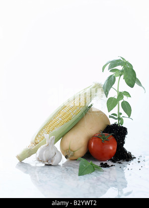 Stillleben mit Gemüse und Kräutern Stockfoto