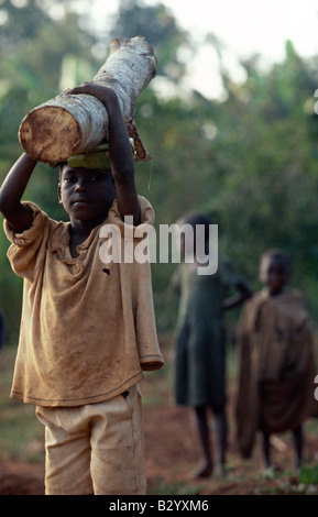 Junge Junge, das Holz auf dem Kopf anmelden, Burundi Stockfoto