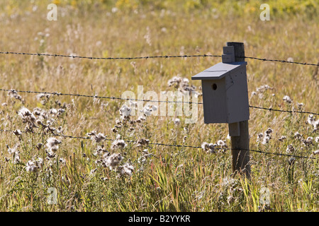 Vogelhaus auf Zaunpfahl, Kananaskis Country, Alberta, Kanada Stockfoto