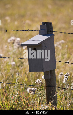 Vogelhaus auf Zaunpfahl, Kananaskis Country, Alberta, Kanada Stockfoto