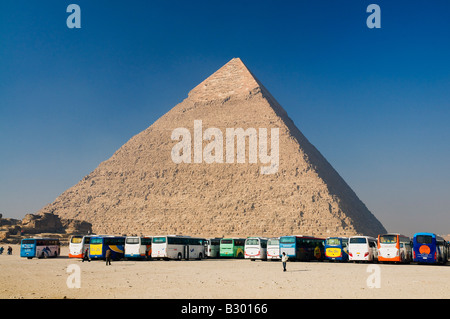 Busse von Pyramide des Chephren, Giza, Ägypten Stockfoto