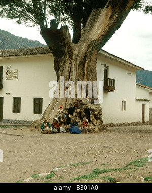 Dorfbewohner von Pisac Peru Nr Cuzco Anden sammeln Hauptplatz unter einem riesigen Ficus-Baum senkrecht Stockfoto