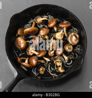 Braten, Champignons und Zwiebeln Stockfoto