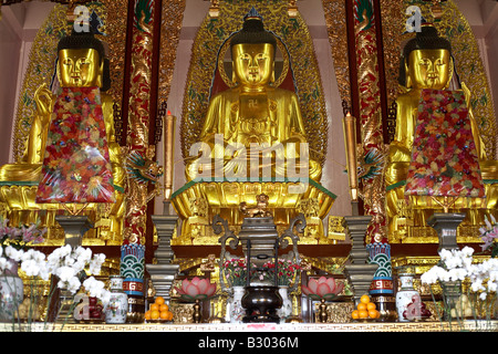 Buddha-Statuen, Chuk Lam Sim Yuen Kloster, Neuland, Hong Kong, China Stockfoto