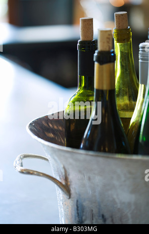 Weinflaschen im Eiskübel Stockfoto