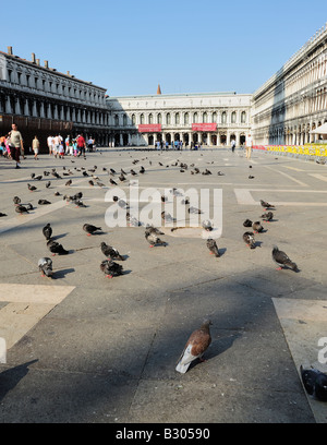 San Marco Platz Venedig Italien Stockfoto
