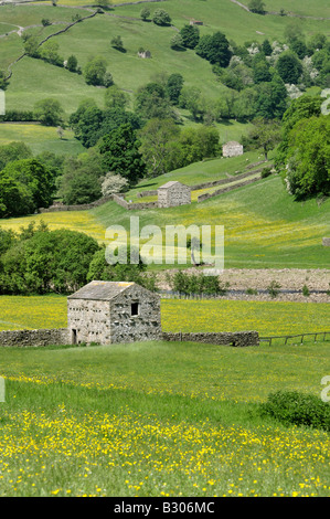 Traditionellen steinerne Scheunen trockenen Steinmauern und Wildblumenwiesen in der Nähe von Gunnerside Swaledale Yorkshire Dales National Park England Stockfoto