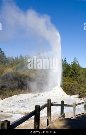 Stimmungsvolle Attraktion von "Lady Knox Geyser" Stockfoto