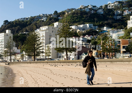 Waterfront Spaziergang, Oriental Bay, Wellington, Neuseeland Stockfoto