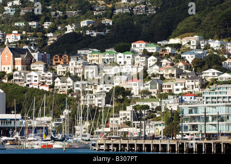 Einzigartige Hügel Entwicklung mit Blick auf Oriental Bay, Wellington, Neuseeland Stockfoto