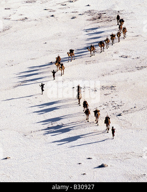 Djibouti, Lake Assal. Eine Ferne Kamel-Karawane überquert die Salinen von Lake Assal, wie Schatten in der späten Nachmittagssonne verlängern. Stockfoto