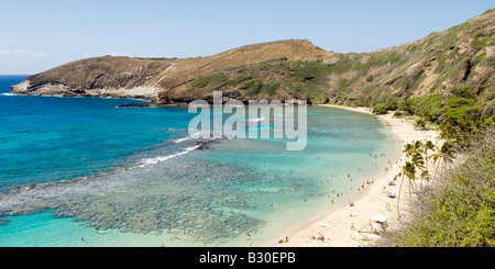 Korallen Paradies Stockfoto