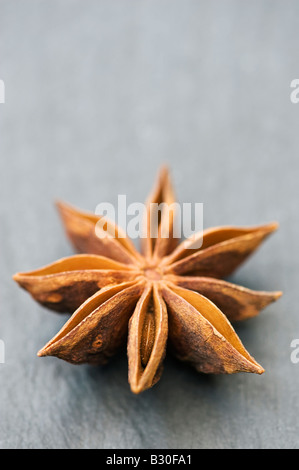 Sternanis auf Schiefer Stockfoto