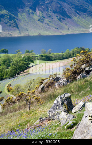 Rannerdale Secret Valley Glockenblumen und Weiden des Lake District National Park Cumbria Stockfoto