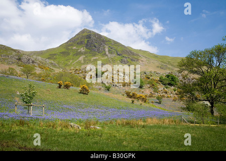 Rannerdale Whiteless Hecht im Secret Valley des Feldes Glockenblumen und Weiden des Lake District National Park Cumbria Stockfoto