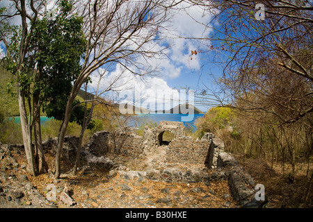 Historische Ruinen in den Virgin Islands National Park auf der karibischen Insel St John in den US Virgin Islands Stockfoto