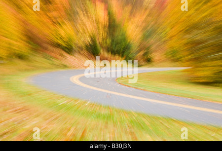 Vergrößern Sie Auszug aus einer gebogenen Straße im Great Smoky Mountains National Park, umgeben von Herbstlaub. Stockfoto