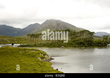 Derryclare Lough, Connemara, County Galway, Irland Stockfoto