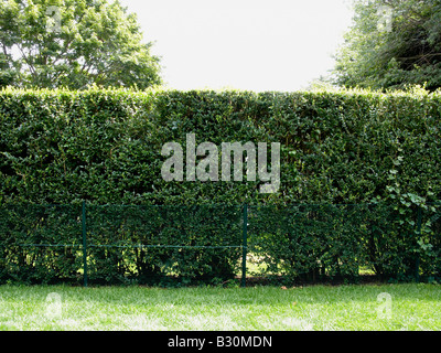 hedgerow Stockfoto