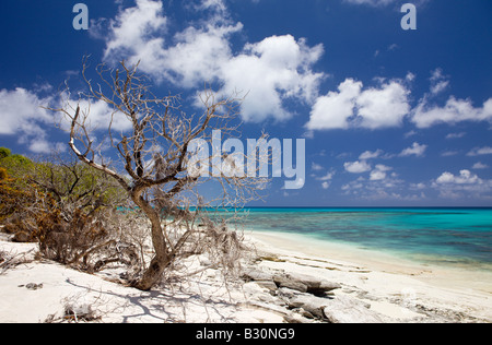 Strand und Lagune Bikini Marshallinseln Bikini Atoll Mikronesien Pazifischen Ozean Stockfoto