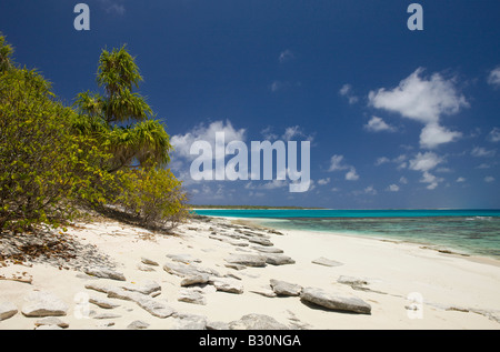 Strand und Lagune Bikini Marshallinseln Bikini Atoll Mikronesien Pazifischen Ozean Stockfoto