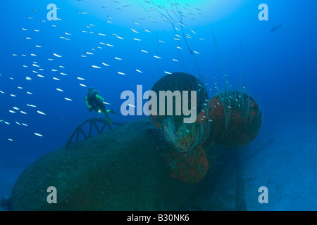 Taucher am Propeller Wrack USS Anderson Zerstörer Marshallinseln Bikini Atoll Mikronesien Pazifischen Ozean Stockfoto