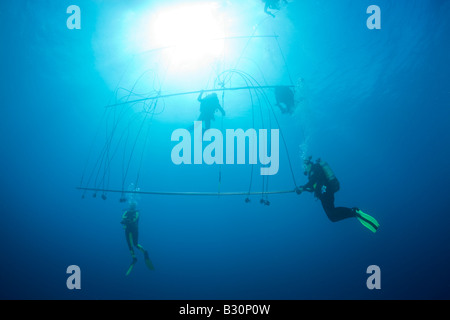 Taucher Dekomprimieren mit Sauerstoff nach tiefen Wreckdive bei Dekompression Trapez Marshallinseln Bikini Atoll Mikronesien Pacific Oce Stockfoto