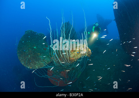 Taucher am Propeller HIJMS Nagato Schlachtschiff Marshallinseln Bikini Atoll Mikronesien Pazifischen Ozean Stockfoto