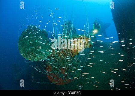 Taucher am Propeller HIJMS Nagato Schlachtschiff Marshallinseln Bikini Atoll Mikronesien Pazifischen Ozean Stockfoto