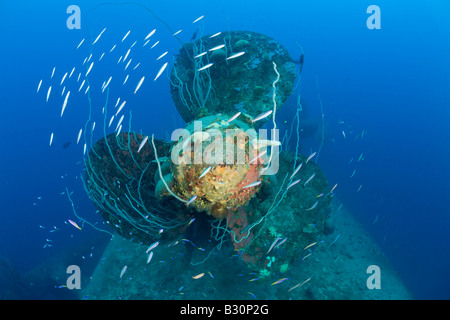 Taucher am Propeller HIJMS Nagato Schlachtschiff Marshallinseln Bikini Atoll Mikronesien Pazifischen Ozean Stockfoto