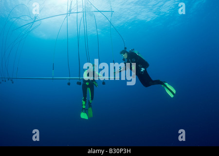 Taucher atmen reinen Sauerstoffs nach tiefen Wreckdive bei Dekompression Trapeze Marshallinseln Bikini Atoll Mikronesien Pazifik Stockfoto