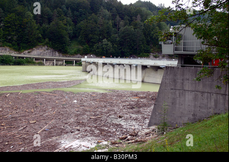 Holz nach einem Hochwasser angeschwemmt Stockfoto