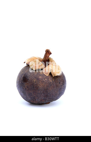 Garcinia Mangostana, Mangostan-Frucht Stockfoto