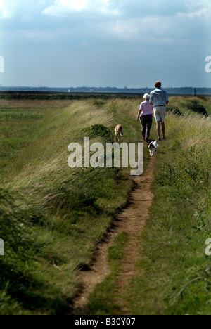 Reifen im Ruhestand Senioren laufen Hunde auf Fußweg auf Sümpfe in Aldeburgh Suffolk England Stockfoto