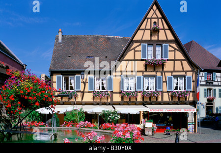 Marktplatz in Eguisheim mit Brunnen Geranien Blumen Shop Fleischerei halbe Fachwerkhaus malerische boucherie Stockfoto