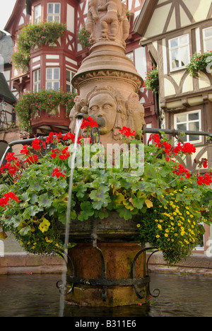 Renaissance-Brunnen mit Blumen und Fachwerkhaus befindet sich auf dem Marktplatz in Miltenberg, Deutschland Stockfoto