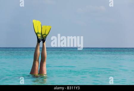 Tauchen im Urlaub Stockfoto