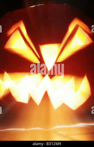 Cucurbita Pepo, Knochenmark, Feld-Kürbis Stockfoto