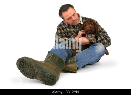 Lagotto Romagnolo, Canis Lupus F. Familiaris, italienische Waterdog Stockfoto