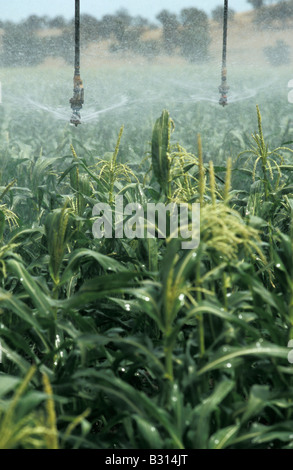 Detail-Berieselung seitlichen Verschieben Irrigator Canowindra New South Wales Australien Stockfoto