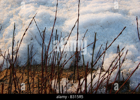 Schmelz- und rückläufigen Schnee im Frühling. Stockfoto